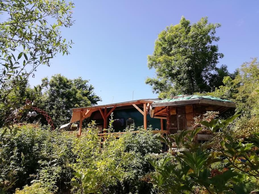 Truck & Pod Creative Nature Retreat. Бантри Екстериор снимка