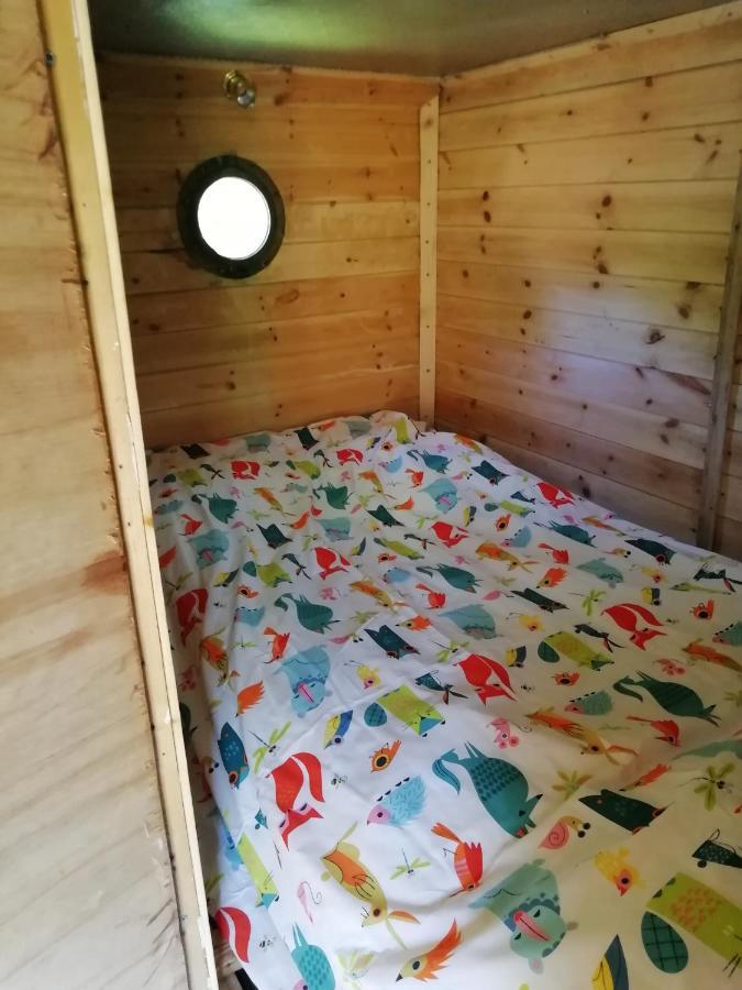 Truck & Pod Creative Nature Retreat. Бантри Екстериор снимка